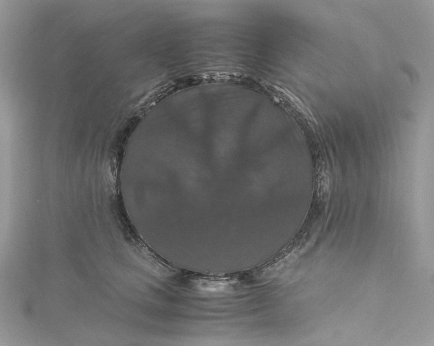 X0000115390661200911171458