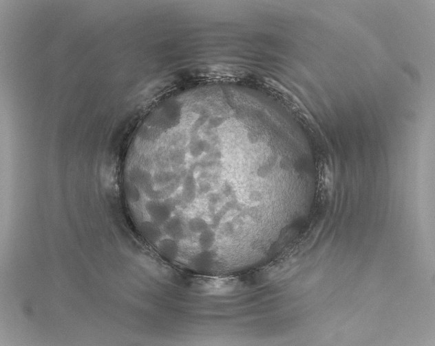 X0000115390663200911171458