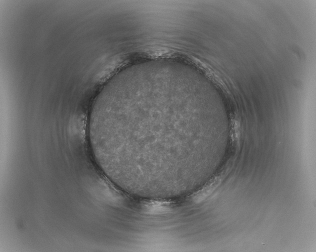 X0000115390664200911171458