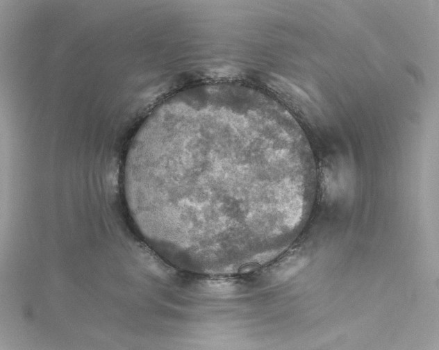 X0000115390668200911171458