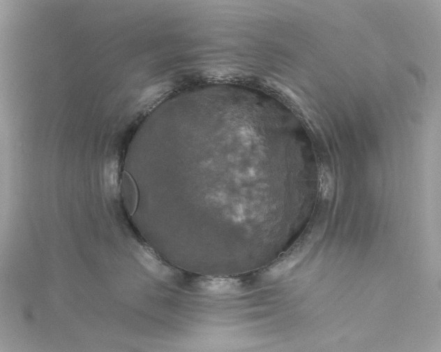 X0000115390670200911171458