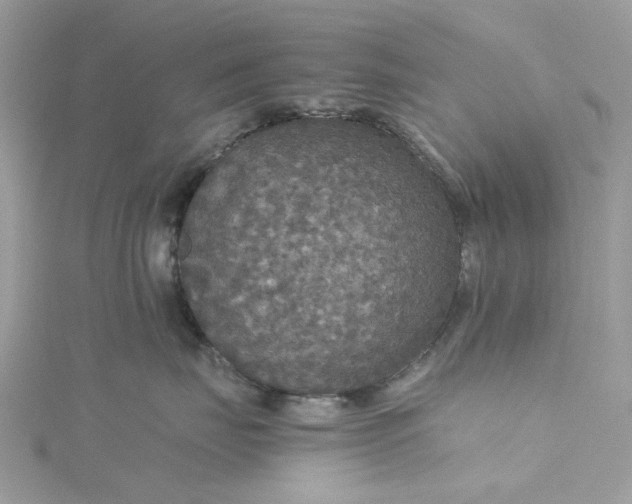 X0000115390671200911171458