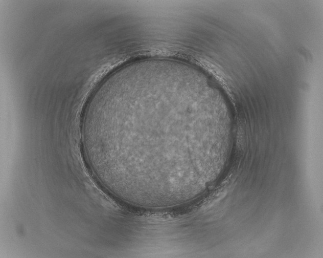 X0000115390673200911171457