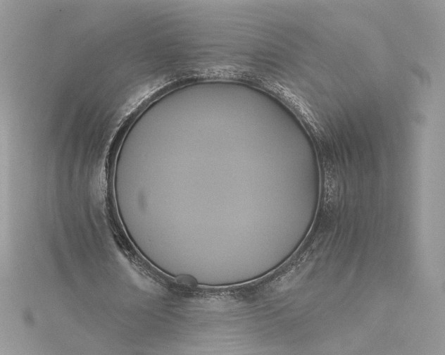 X0000115390674200911171457