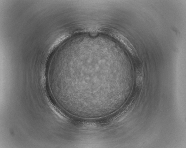 X0000115390677200911171457