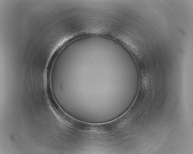 X0000115390678200911171457