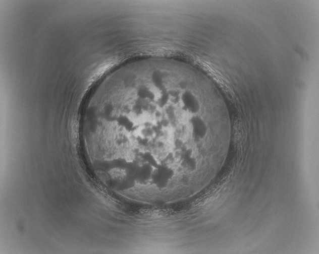 X0000115390679200911171457