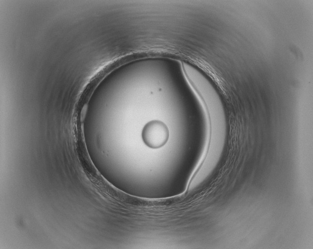 X0000115390680200911171457