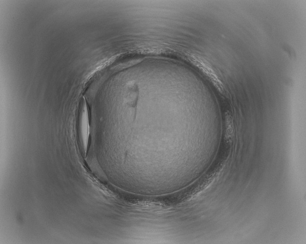 X0000115390681200911171457