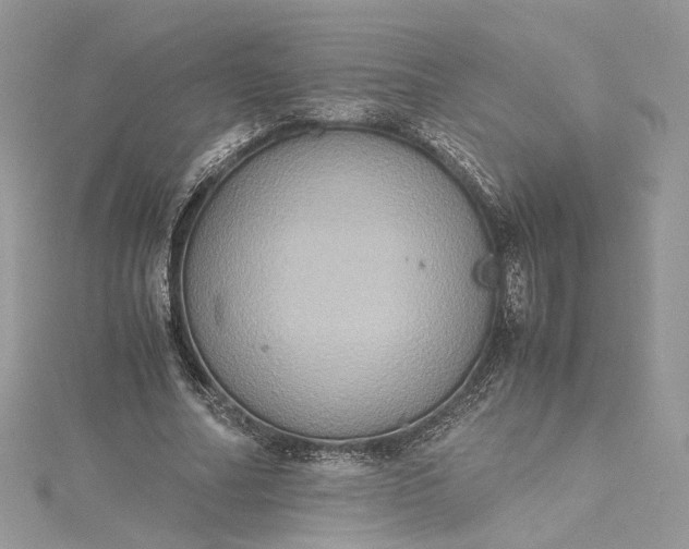 X0000115390682200911171457