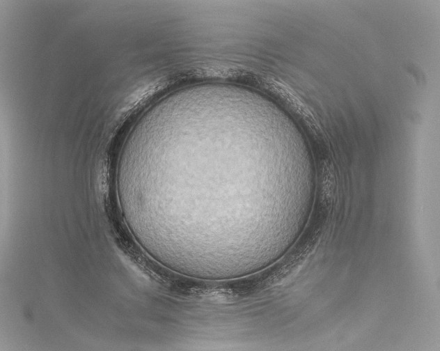 X0000115390683200911171457