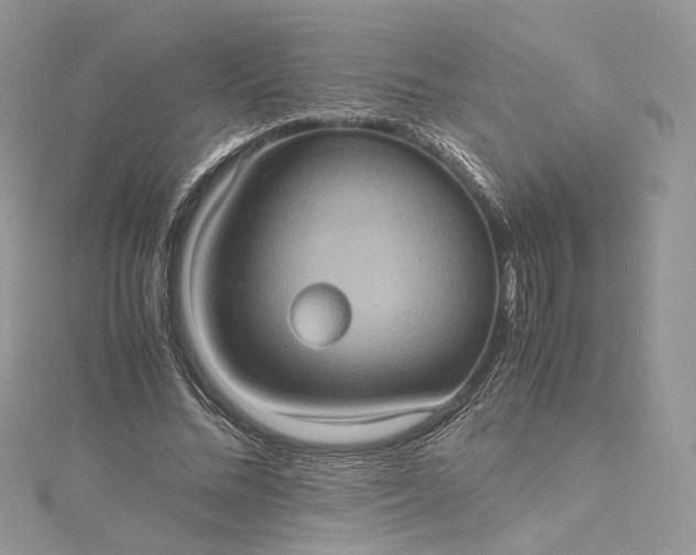 X0000115390684200911171457