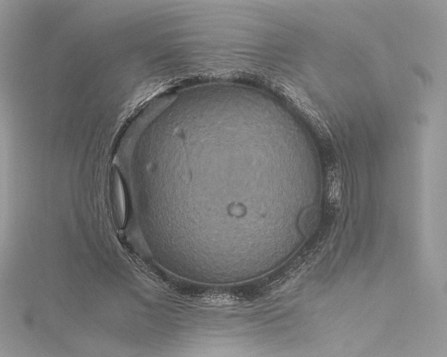 X0000115390685200911171457