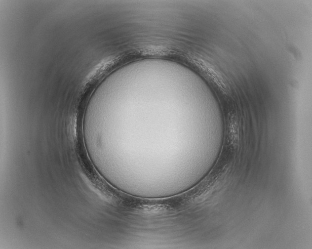 X0000115390686200911171457