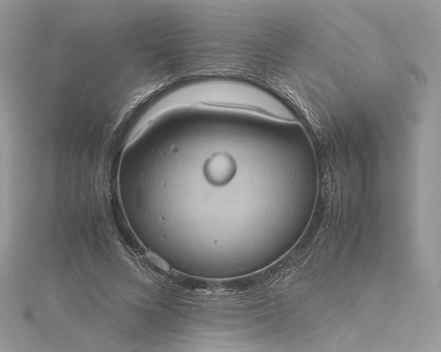 X0000115390688200911171457