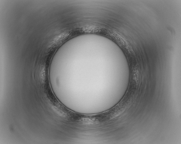 X0000115390690200911171457