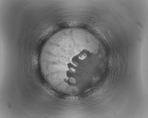 X0000115390691200911171457