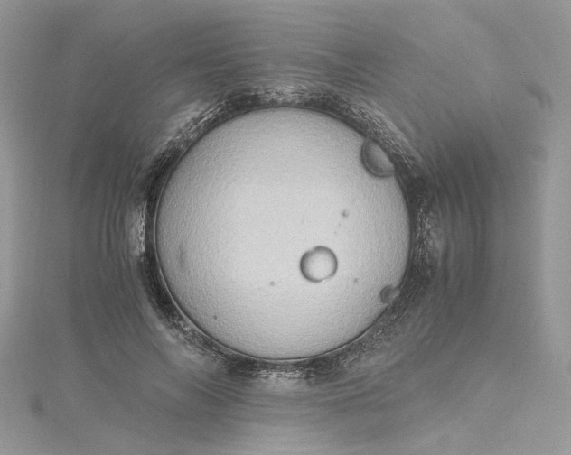 X0000115390694200911171457