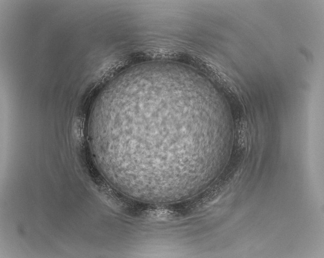 X0000115390695200911171457