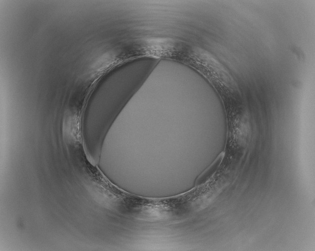 X0000115390696200911171457