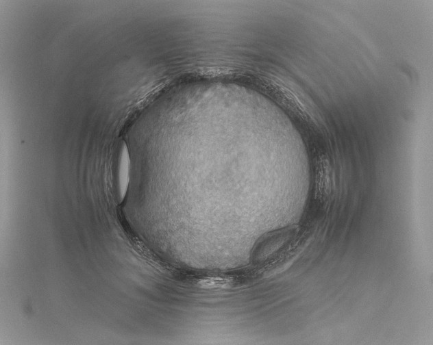 X0000115390700200911171457