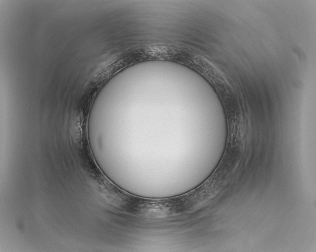 X0000115390702200911171457