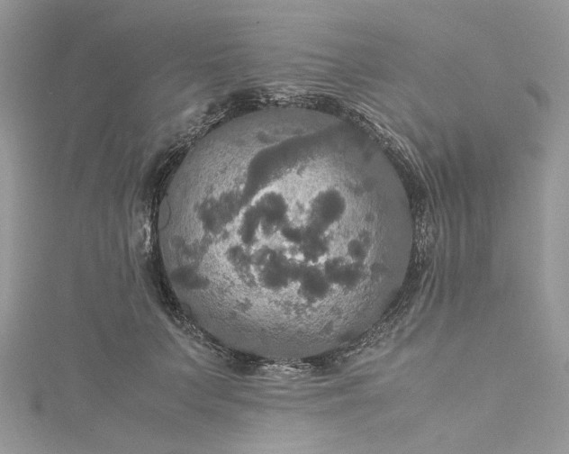 X0000115390703200911171457