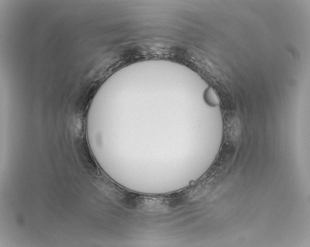 X0000115390709200911171457