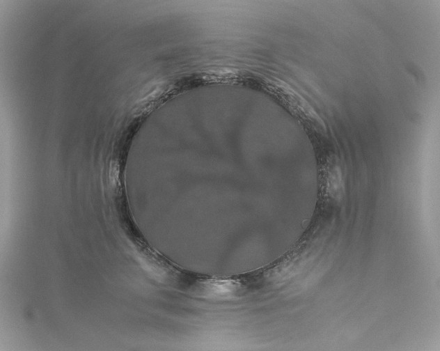 X0000115390711200911171457