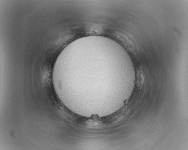 X0000115390714200911171457