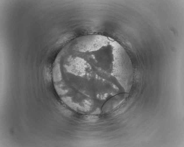 X0000115390719200911171456