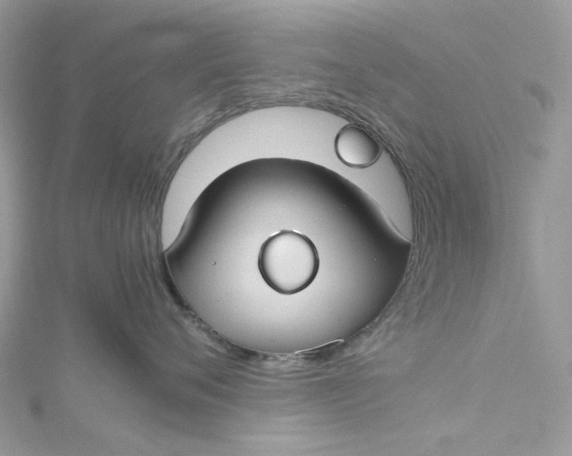 X0000115390720200911171456