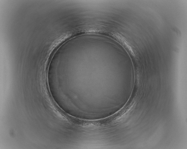 X0000115390721200911171456