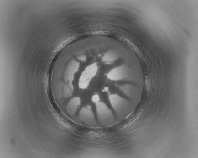 X0000115390725200911171456