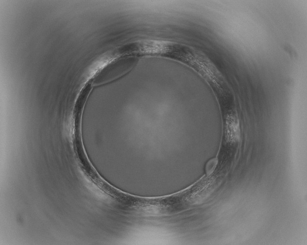 X0000115390726200911171456