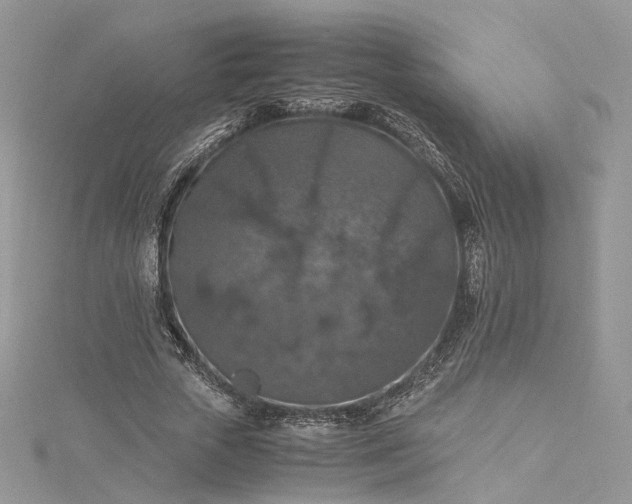 X0000115390729200911171456