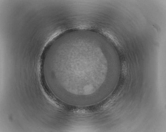 X0000115390730200911171456