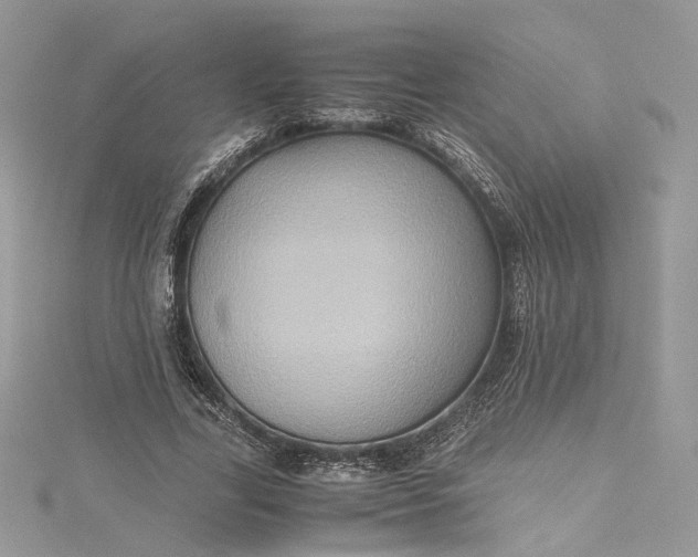 X0000115390731200911171456