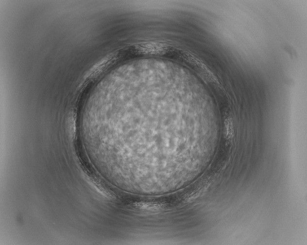 X0000115390733200911171456