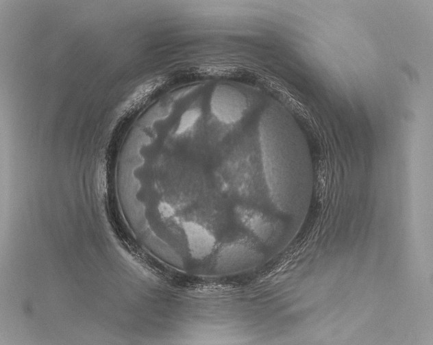 X0000115390734200911171456