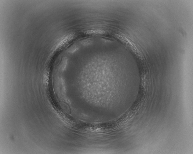 X0000115390735200911171456