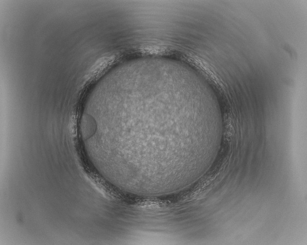 X0000115390738200911171456