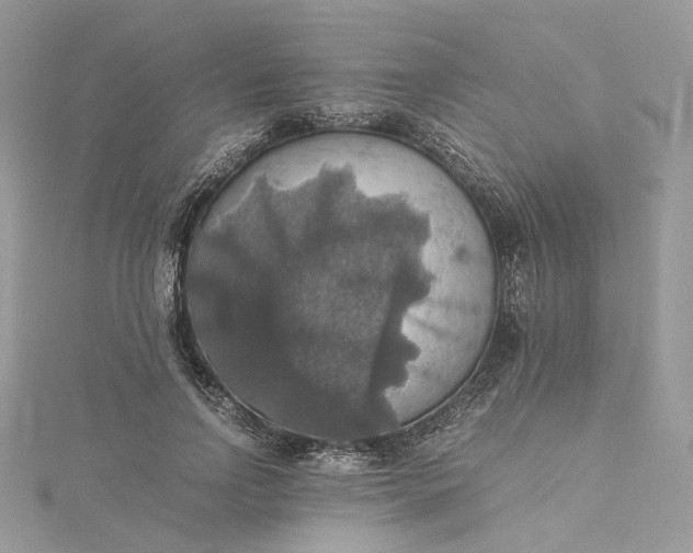 X0000115390742200911171456