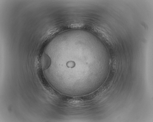 X0000115390743200911171456