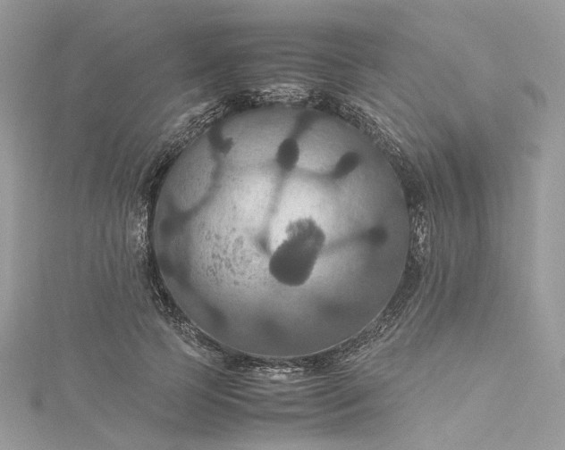 X0000115390745200911171456