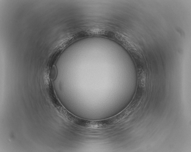 X0000115390746200911171456