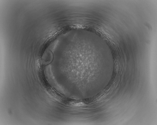 X0000115390747200911171456