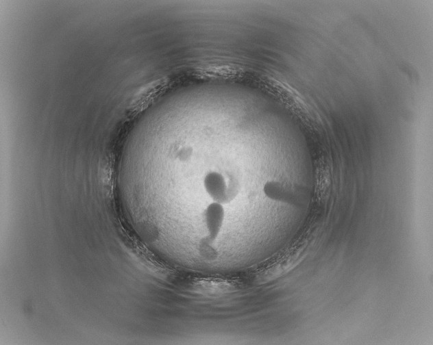 X0000115390749200911171456