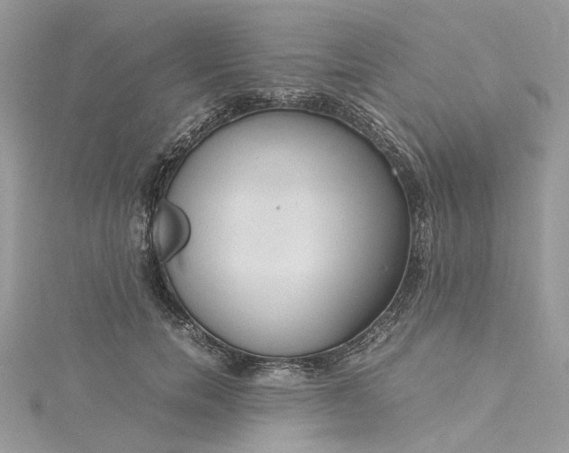 X0000115390750200911171456