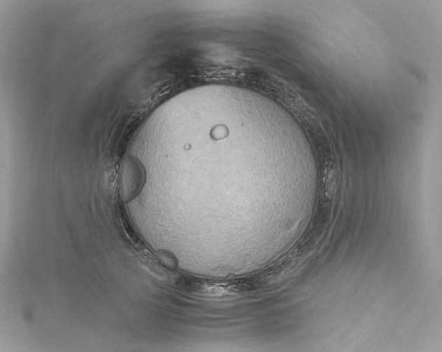 X0000115390753200911171456